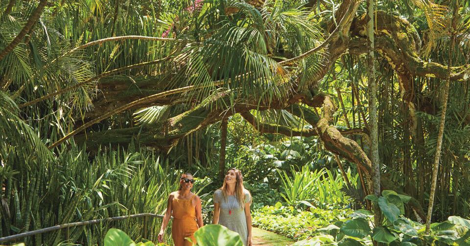 Hawaii’s Gardens of Paradise | Travel + Places