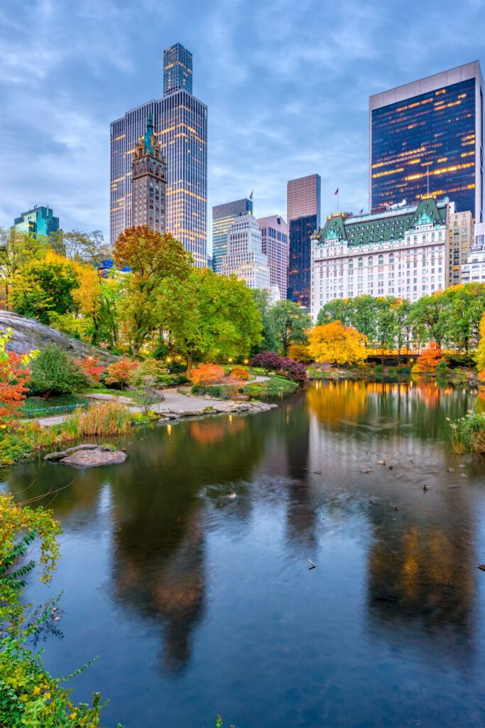 Central Park landscape with Manhattan skyline