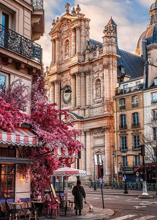 Historic street in Paris France with classic architecture.