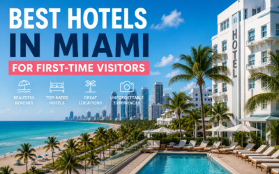 Best Hotels in Miami for First-Time Visitors